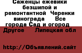 Саженцы ежевики безшипой и ремонтантной. Черенки винограда . - Все города Сад и огород » Другое   . Липецкая обл.